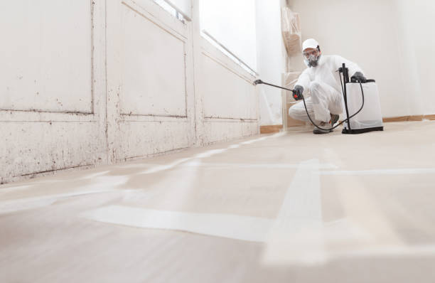 24/7 Emergency Mold Remediation experts in McLean, TX