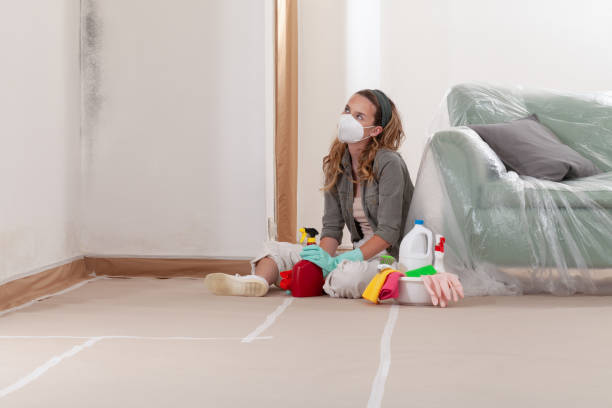 Reliable Mold Remediation contractor in McLean, TX by Mold Remediation HQ